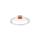 Tescoma Poklice do trouby UNICOVER pr. 20 cm