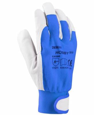 ARDON Rukavice HOBBY na stojan velikost 10", MODRÉ