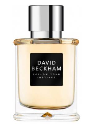 David Beckham Follow Your Instinct - EDT 50 ml