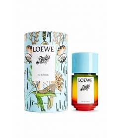 Loewe Paula`s Ibiza - EDT Objem: 50 ml