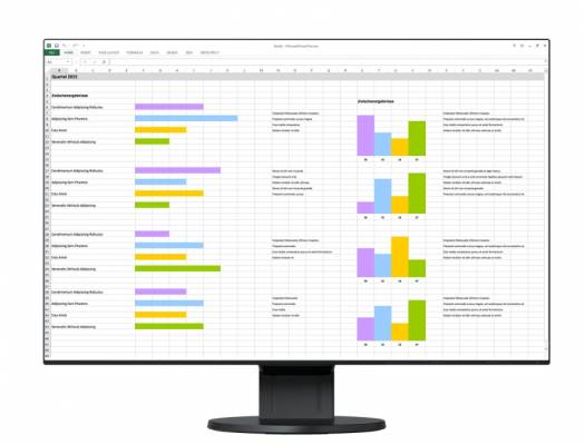 Eizo EV2456-BK, monitor 24" IPS